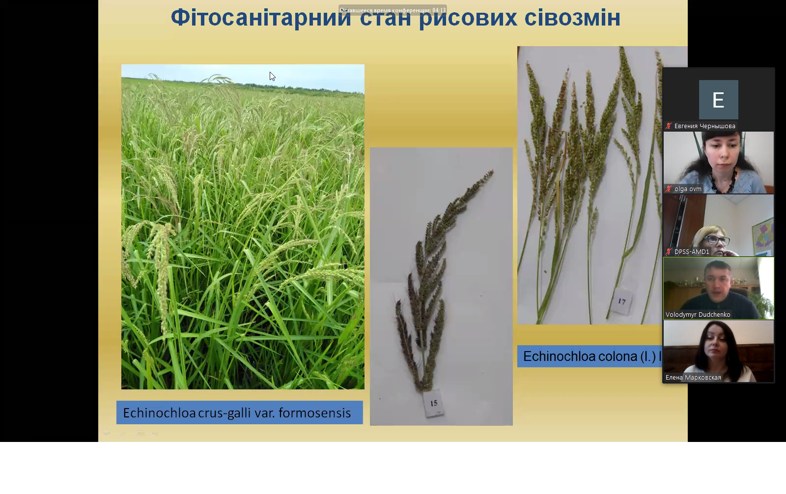 Участь співробітників Управління фітосанітарної безпеки в круглому столі “Фітосанітарна безпека України”