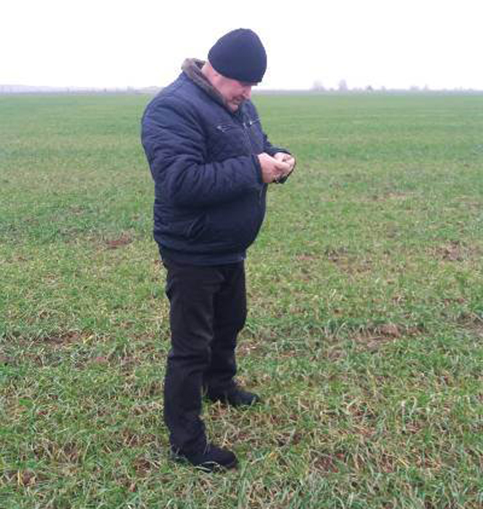 Умови безпечного використання пестицидів у сільському господарстві