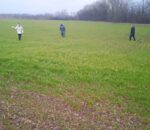 На Херсонщині фітосанітарні інспектори обстежують поля