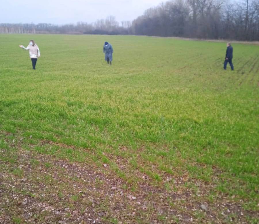 На Херсонщині фітосанітарні інспектори обстежують поля