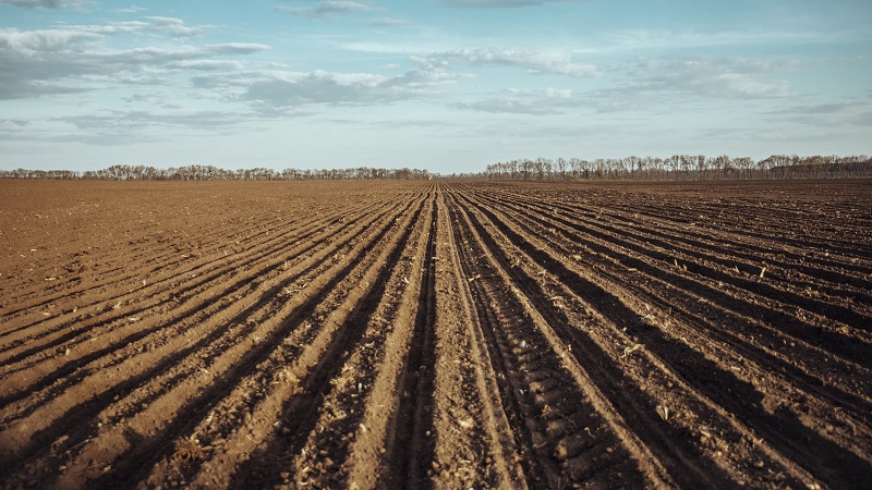 Ранньовесняне боронування