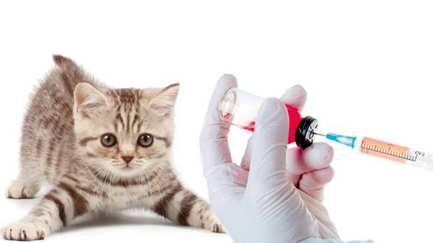 Сказ: що варто знати і як уберегтися.