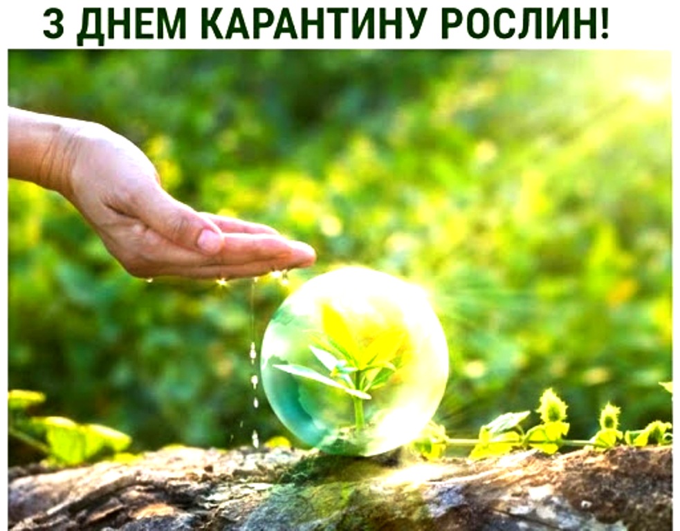З ДНЕМ КАРАНТИНУ РОСЛИН!
