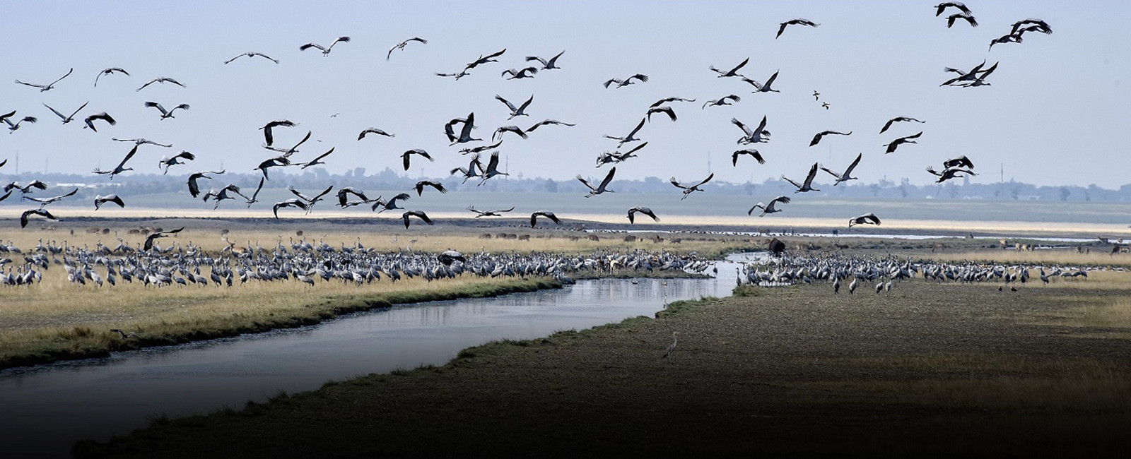 Головне управління Держпродспоживслужби в Херсонській області тримає на контролі дотримання правил застосування пестицидів і агрохімікатів на території області