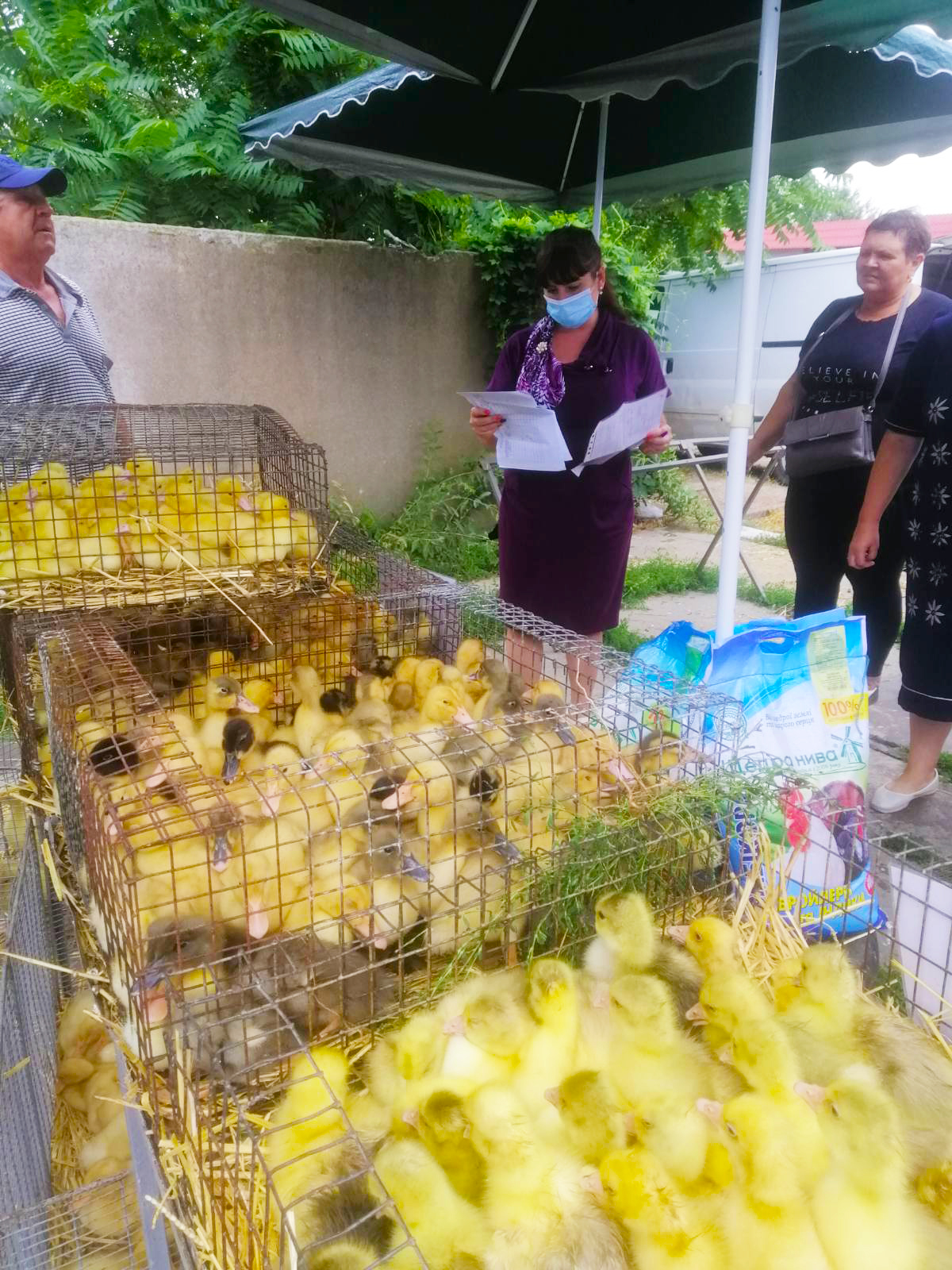 Під час перевірки місцевого ринку Великолепетиське управління ГУ Держпродспоживслужби в Херсонській області виявило 2 порушення