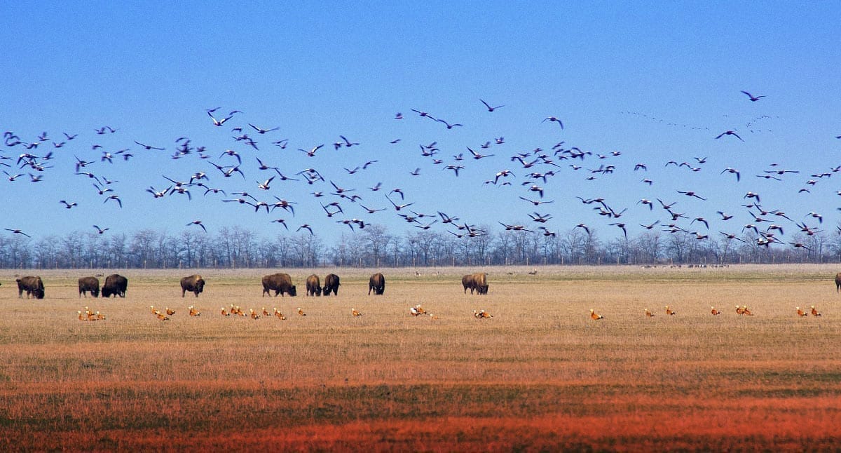 До уваги суб’єктів господарювання, які займаються  вирощуванням сільськогосподарських культур: щодо заборони застосування родентицидів з діючою речовиною бродіфакум в межах 40-кілометрової зони Біосферного заповідника «Асканія-Нова»