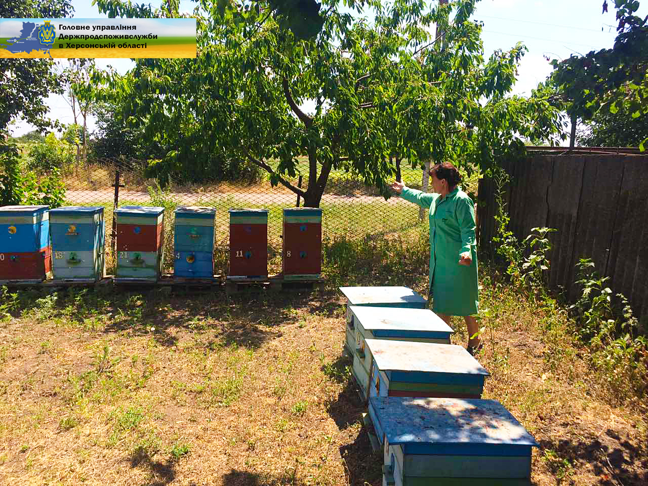 З початку 2021 року ГУ Держпродспоживслужби в Херсонській області видано та зареєстровано 672 ветеринарно – санітарні паспорти на пасіки