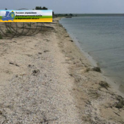 Фахівці Білозерського управління провели обстеження берегової лінії акваторії Дніпровсько-Бузького лиману щодо факту загибелі водних біоресурсів