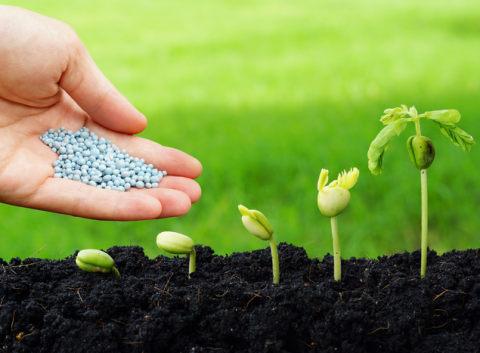 Головне управління Держпродспоживслужби в Херсонській області інформує стосовно правил застосування пестицидів і агрохімікатів для сільгоспвиробників та для населення