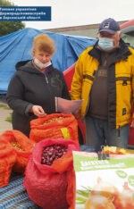 Управління фітосанітарної безпеки тримає на контролі недопущення обігу фальсифікованого садивного матеріалу