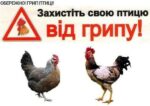 Спеціалісти Новотроїцької районної лікарні ветеринарної медицини проводять просвітницькі роботи стосовно грипу птиці