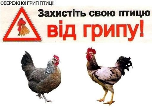 Спеціалісти Новотроїцької районної лікарні ветеринарної медицини проводять просвітницькі роботи стосовно грипу птиці