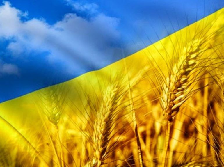 29 жовтня – День започаткування контрольно – насіннєвої справи в Україні