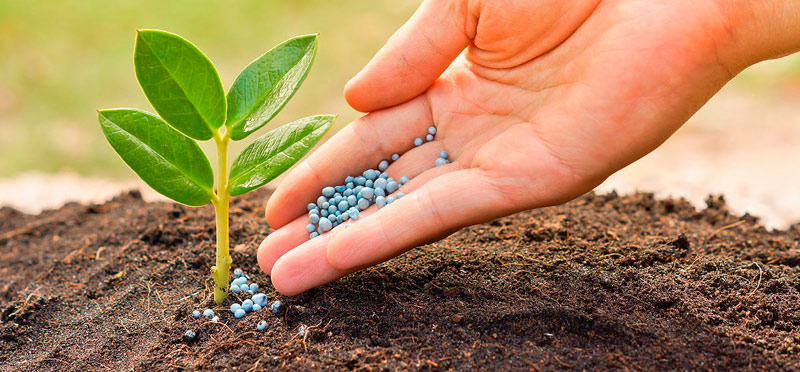 Спеціалісти ГУ Держпродспоживслужби в Херсонській області візьмуть участь у нараді щодо застосування засобів захисту рослин в межах області