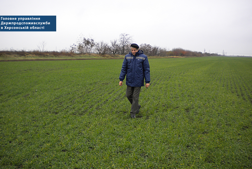 Фітосанітарні інспектори Управління фітосанітарної безпеки обстежили понад 74 тис га земельних угідь області