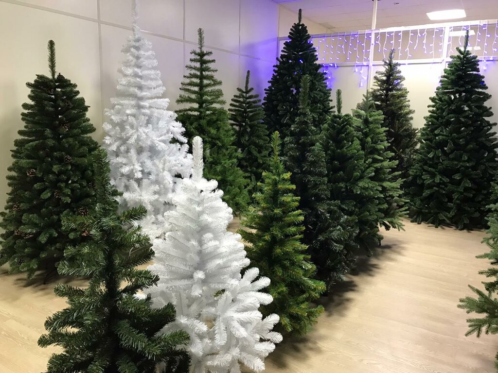 Як правильно обрати новорічну ялинку?