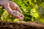 Протягом 2021 року спеціалісти Головного управління Держпродспоживслужби в Херсонській області провели навчання по безпечному поводженню з пестицидами і агрохімікатами для 1 585 осіб та видали 1 483 допуски на право роботи з ними