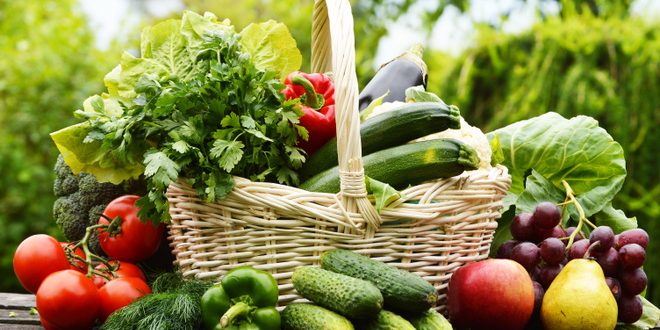 Фахівці Білозерського управління пройшли онлайн-тренінг щодо органічного виробництва, обігу та маркування органічної продукції