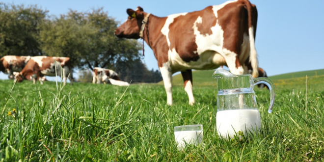 Готуємося до весняної диспансеризації