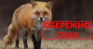 Сказ, або водобоязнь