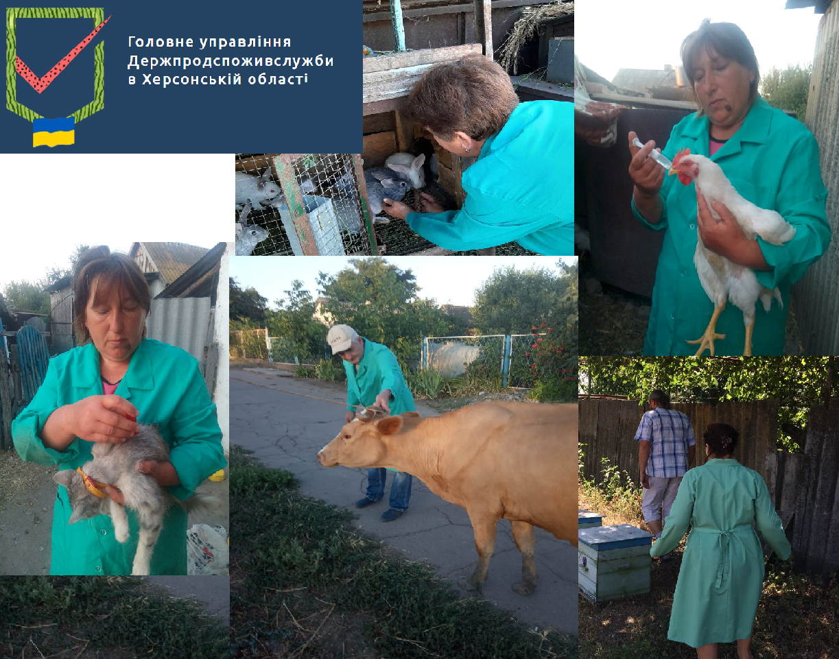 Проведена робота в новому складі Бериславської районної жержавної лікарні ветеринарної медицини