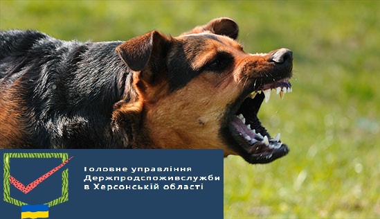 Держпродспоживслужба в Бериславському районі Херсонської області посилює заходи профілактики щодо запобігання сказу
