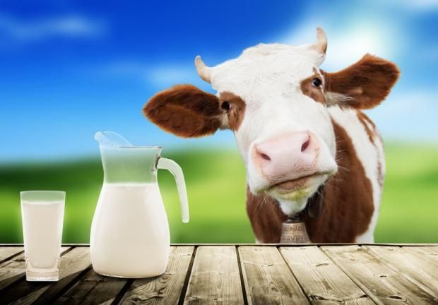 Молоко: що потрібно знати