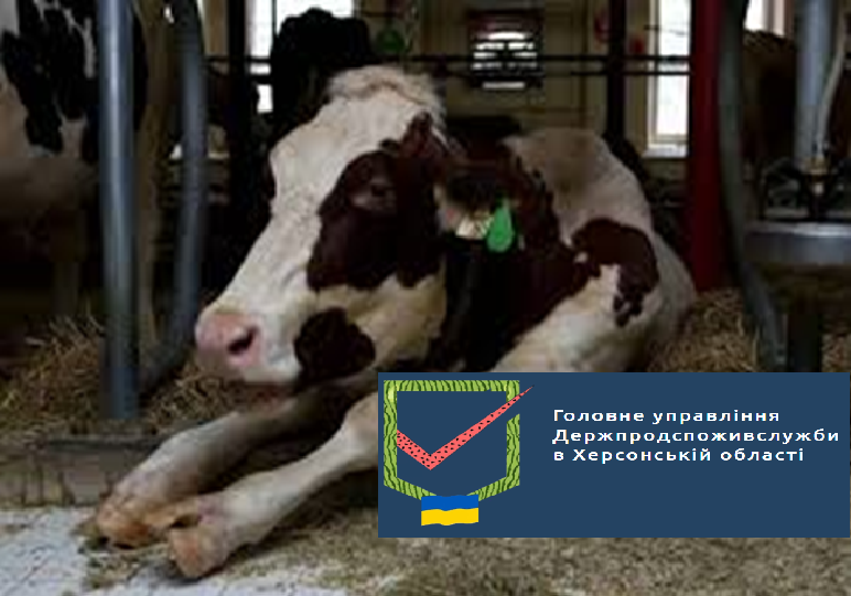 Головне управління Держпродспоживслужби в Херсонській області попереджає, що необхідно знати про СИБІРКУ