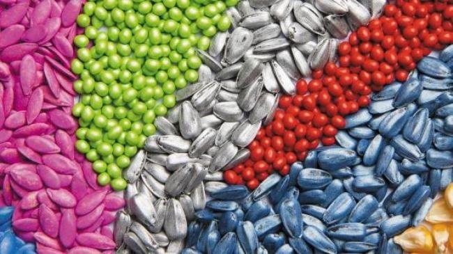 Якісне протруювання насіння – ефективний захист сходів озимих колосових культур