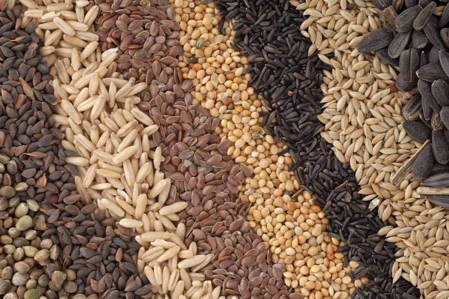 До уваги виробників насіння та садивного матеріалу!