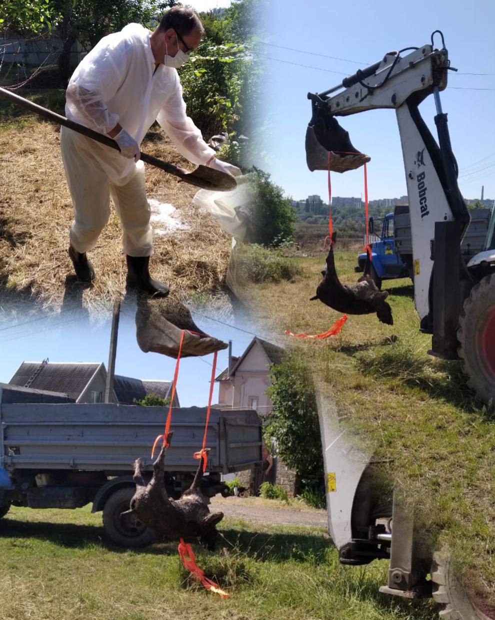 Забезпечення санітарно-епідемічного та епізоотичного благополуччя у результаті підриву Каховської ГЕС