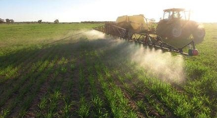 Що потрібно знати про гербіциди