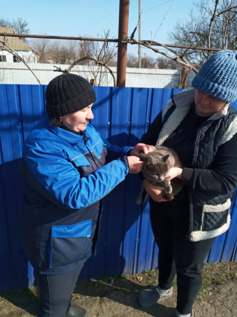 Вакцинація тварин проти сказу в Бериславському районі
