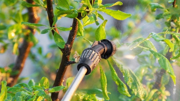 Правила безпеки під час роботи з пестицидами на присадибних ділянках