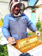 На Херсонщині триває щорічна весняна ревізія пасік