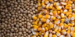 До уваги виробників кукурудзи та сої!