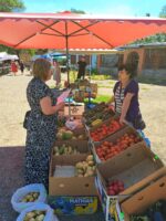 Бериславщина: моніторингові обстеження місць реалізації харчових продуктів