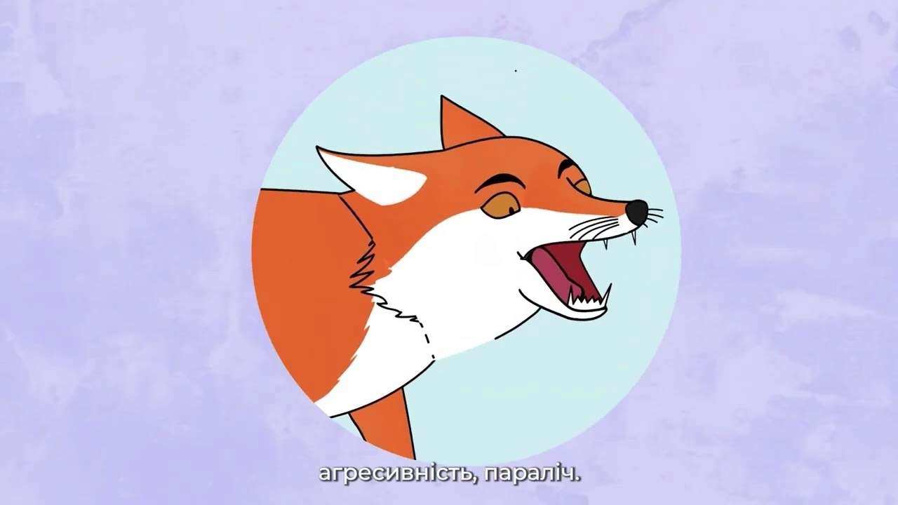 Сказульки про тварин: розповідаємо дітям як поводитися з тваринами