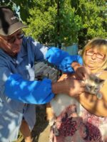 Бериславський район: вакцинація проти сказу