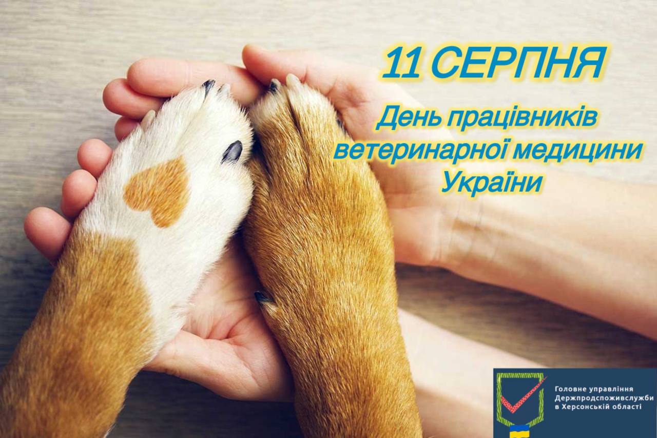 День працівників ветеринарної медицини – 11 серпня 2024 року