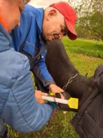 Триває робота щодо проведення ідентифікації та реєстрації тварин на деокупованій території Херсонської області