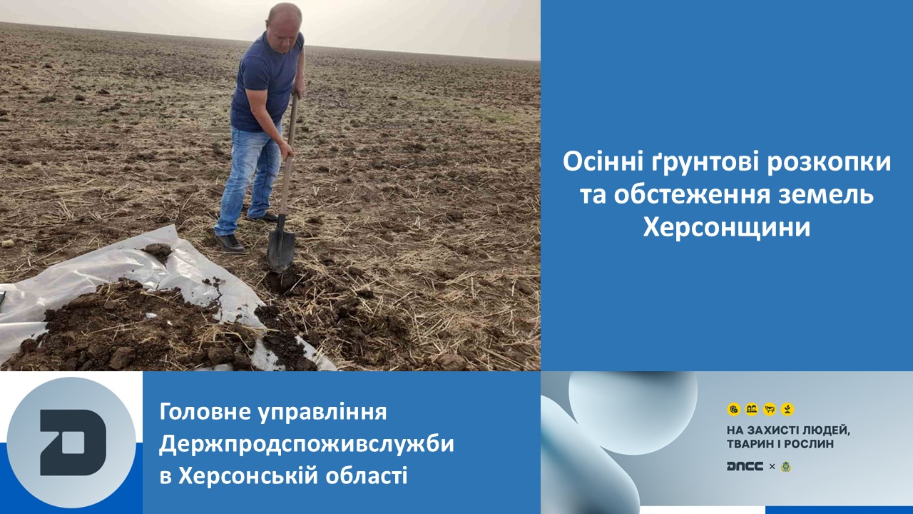 Осінні ґрунтові розкопки та обстеження земель Херсонщини