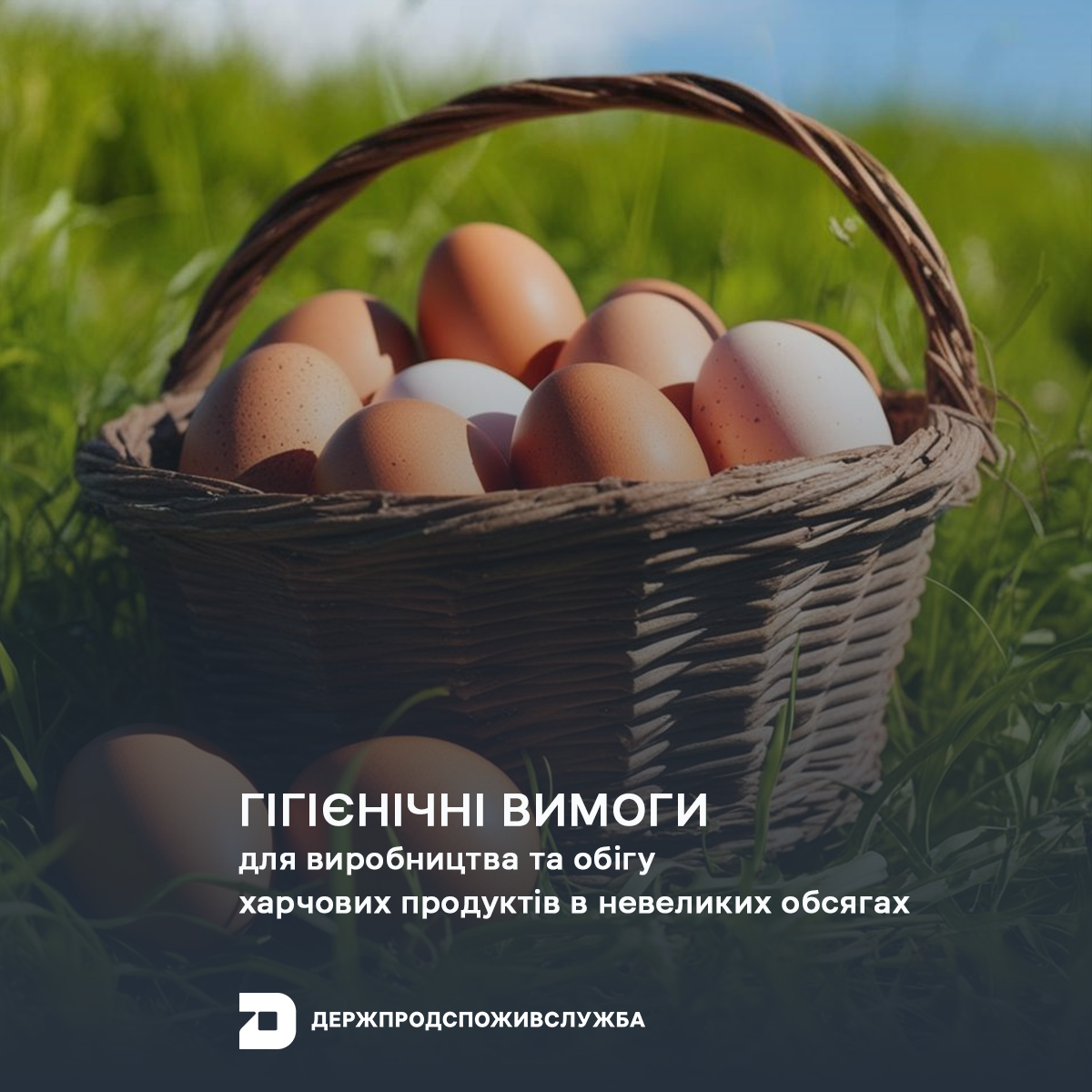 Гігієнічні вимоги для виробництва та обігу харчових продуктів в невеликих обсягах