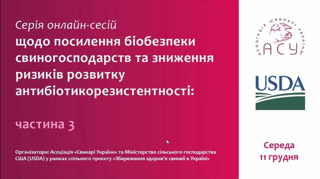 Відбулася заключна онлайн-сесія про біобезпеку та раціональне застосування антибіотиків у свинарстві