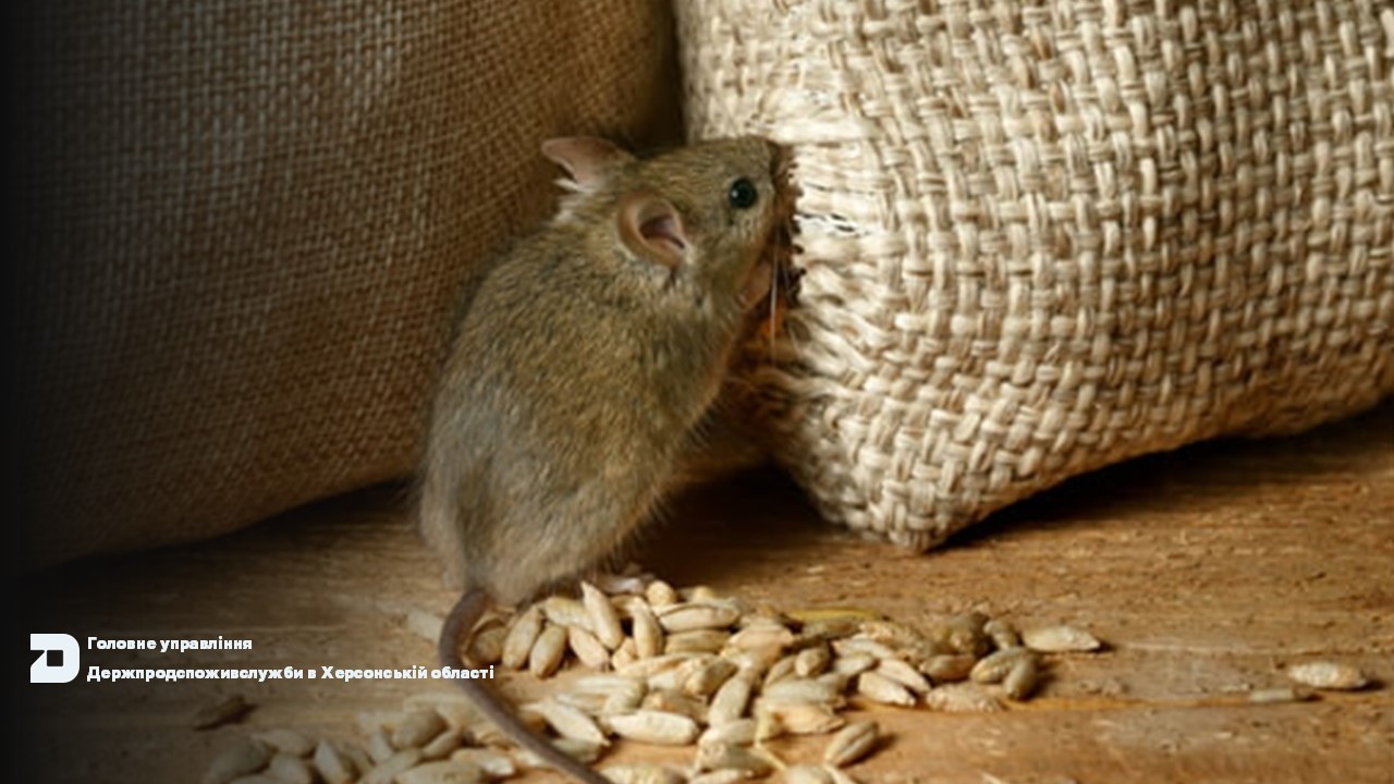 ІНФОРМАЦІЙНЕ ПОВІДОМЛЕННЯ №1 про фітосанітарний стан посівів сільськогосподарських культур в сільгосппідприємствах Херсонської області станом на 28 січня 2025 року