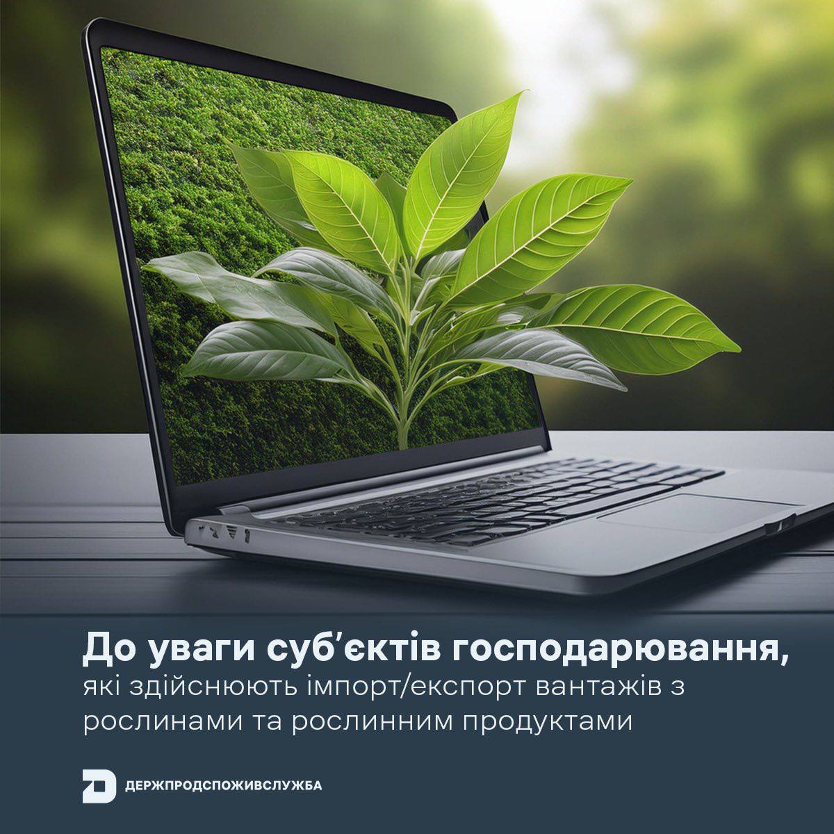 До уваги суб’єктів господарювання, які здійснюють імпорт/експорт вантажів з рослинами та рослинним продуктами!
