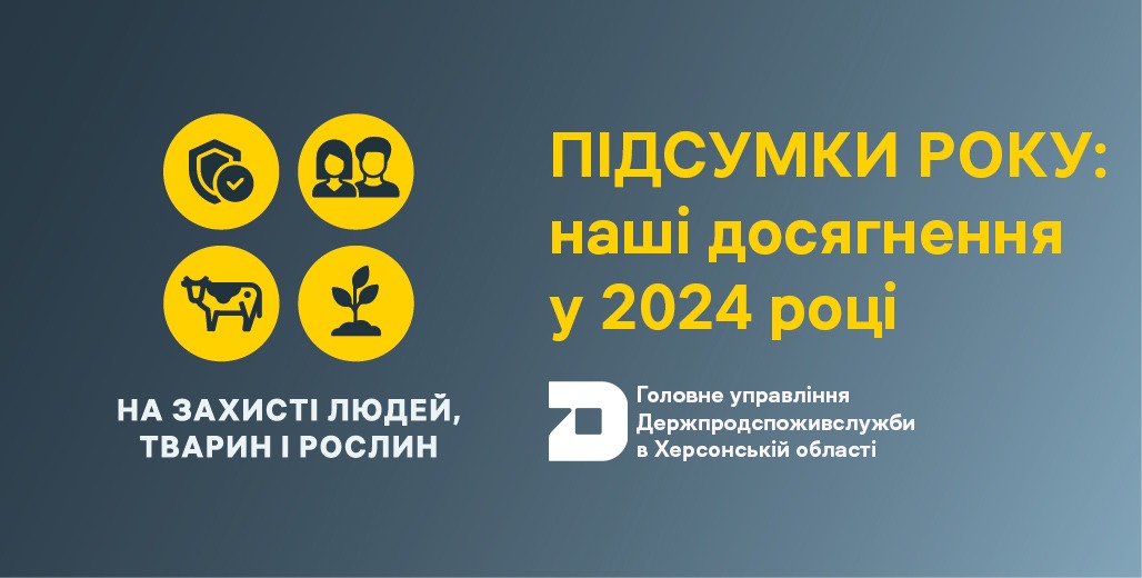 Підсумки року: наші досягнення у 2024 році