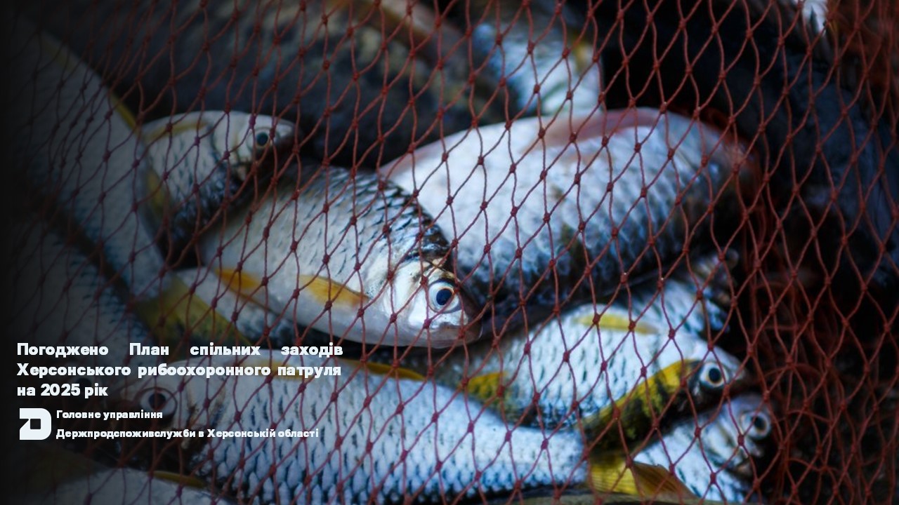 Погоджено План спільних заходів Херсонського рибоохоронного патруля на 2025 рік
