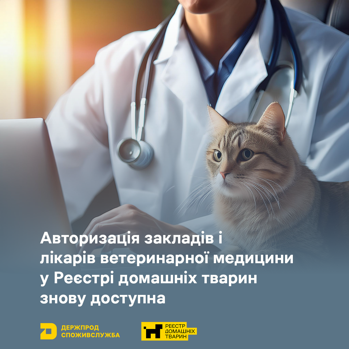 Авторизація закладів і лікарів ветеринарної медицини у Реєстрі домашніх тварин знову доступна