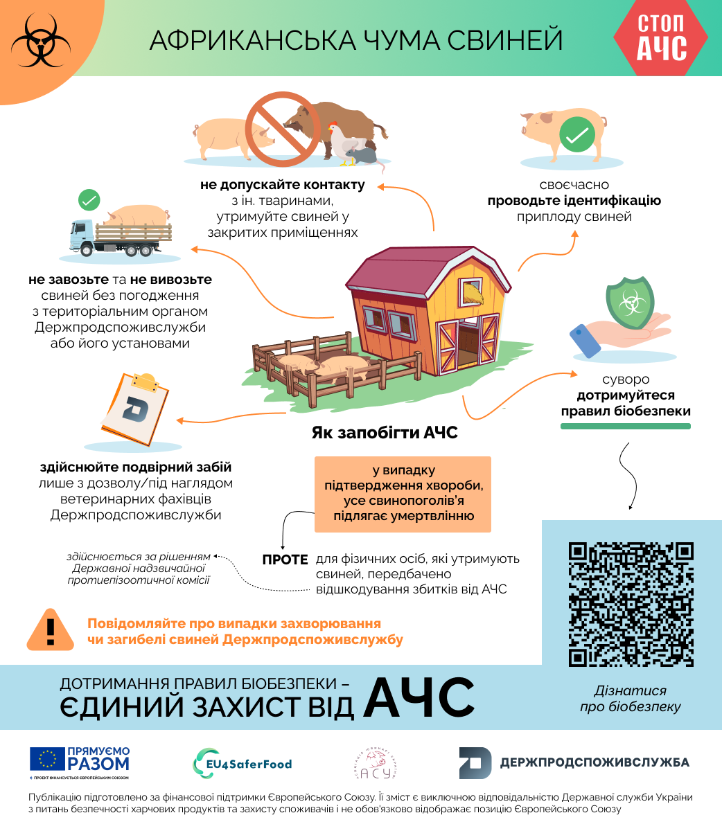 Прості рекомендації для свиногосподарств, щоб уникнути АЧС